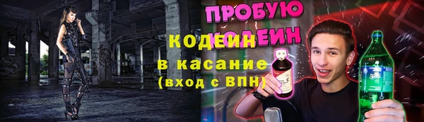 кокс Арсеньев
