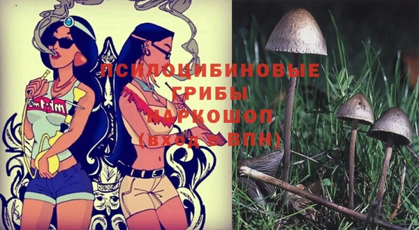 кокс Арсеньев