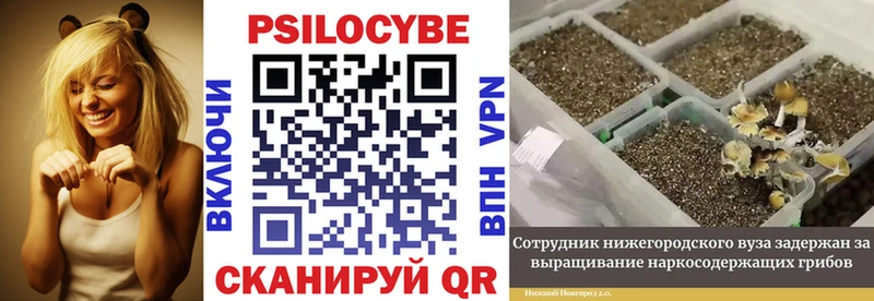 Галлюциногенные грибы Cubensis  Меленки 